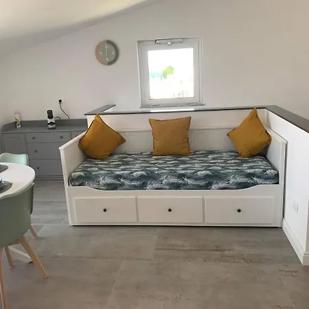 Moonlight * 로사노